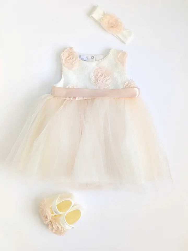 Baby Special Occasion Beige Rose Dress & Headband Set