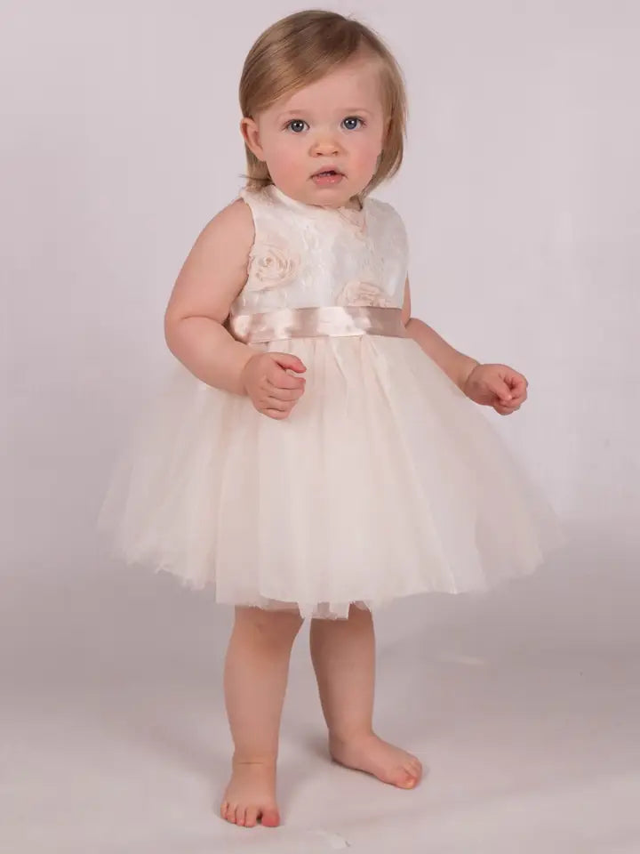 Baby Special Occasion Beige Rose Dress & Headband Set