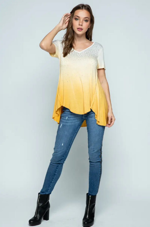 Ombre Stone Embellished SS Top