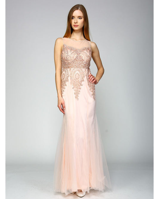 Gold Embroidered Mermaid Dress - Blush