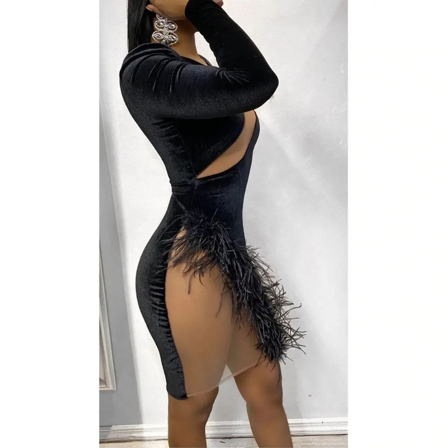 Asymmetric Feather Dress