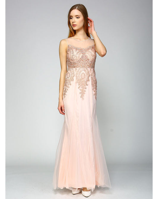 Gold Embroidered Mermaid Dress - Blush