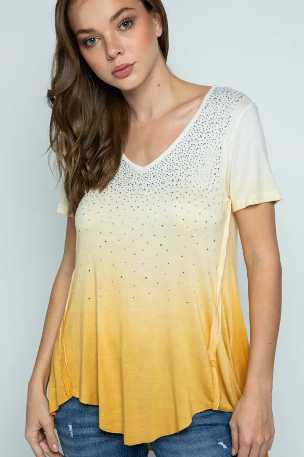 Ombre Stone Embellished SS Top