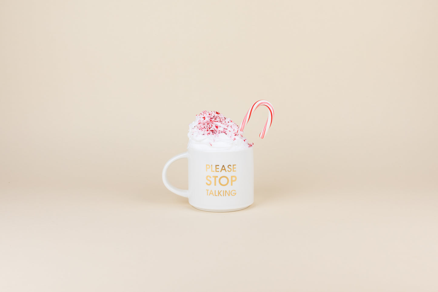 Please Stop Talking Mug