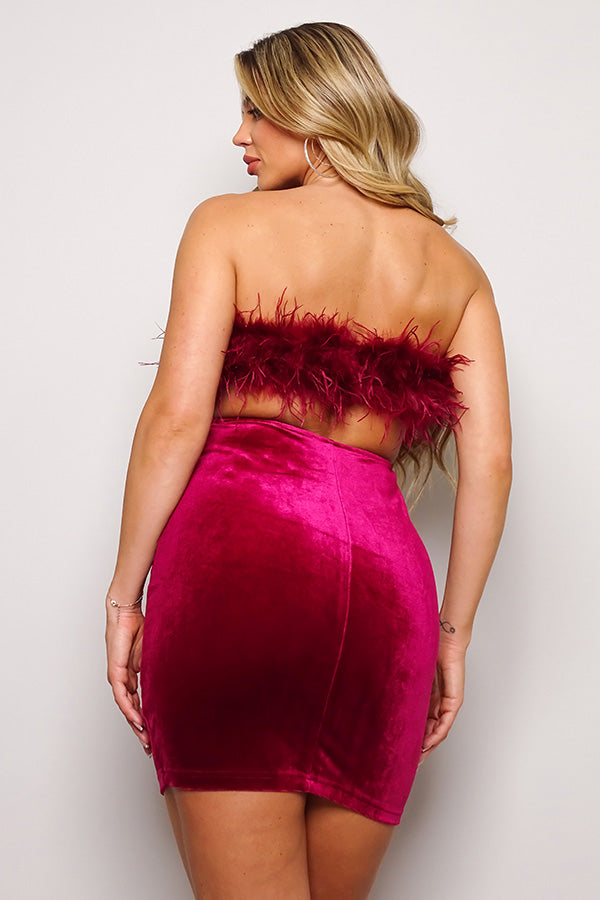 Feather Trim Velvet Mini Dress – Black or Burgundy